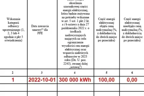 Jak wypełnić oświadczenie do PGE i uniknąć najczęstszych błędów